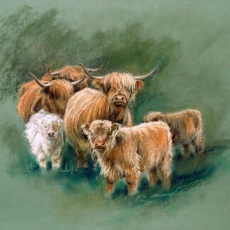 Image of Highland Family in Fife by Hillary Barker